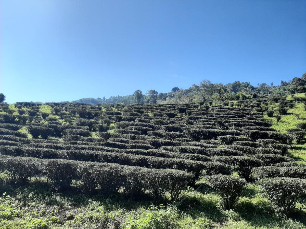 Ban Doi Hang Chiangrai Resort House מראה חיצוני תמונה